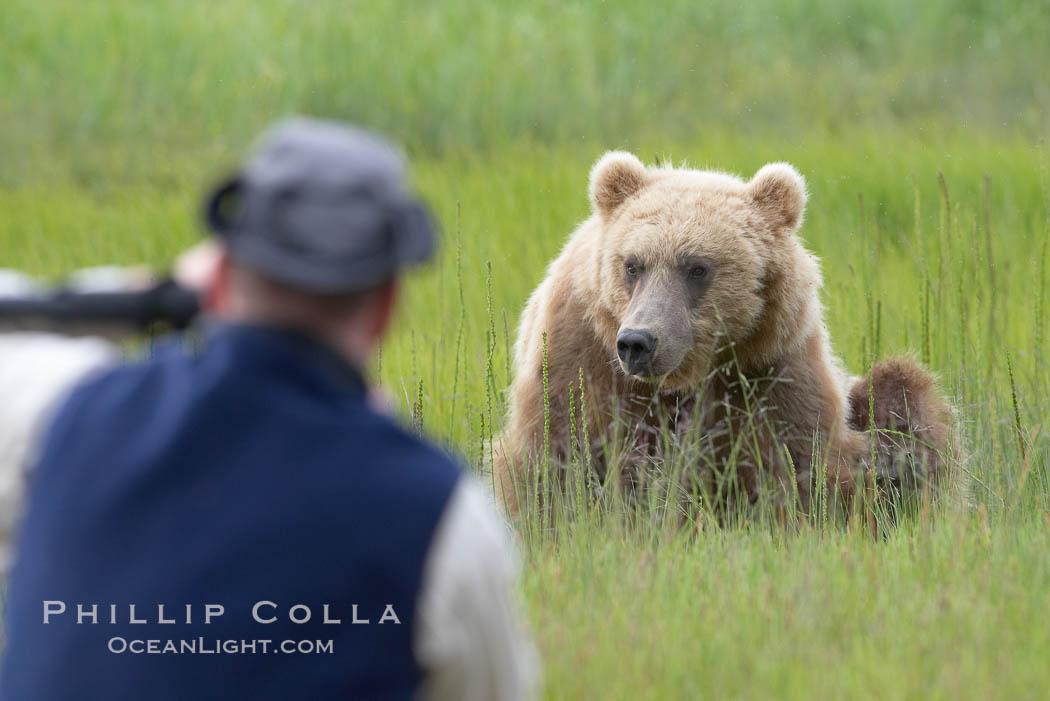 Photographer and brown bear. Lake Clark National Park, Alaska, USA, natural history stock photograph, photo id 19077