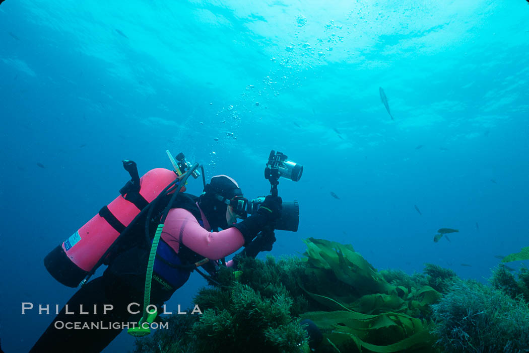 Photographer, Islas San Benito. San Benito Islands (Islas San Benito), Baja California, Mexico, natural history stock photograph, photo id 02388