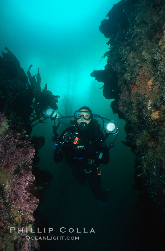 Photographer and reef. Monterey, California, USA, natural history stock photograph, photo id 01100