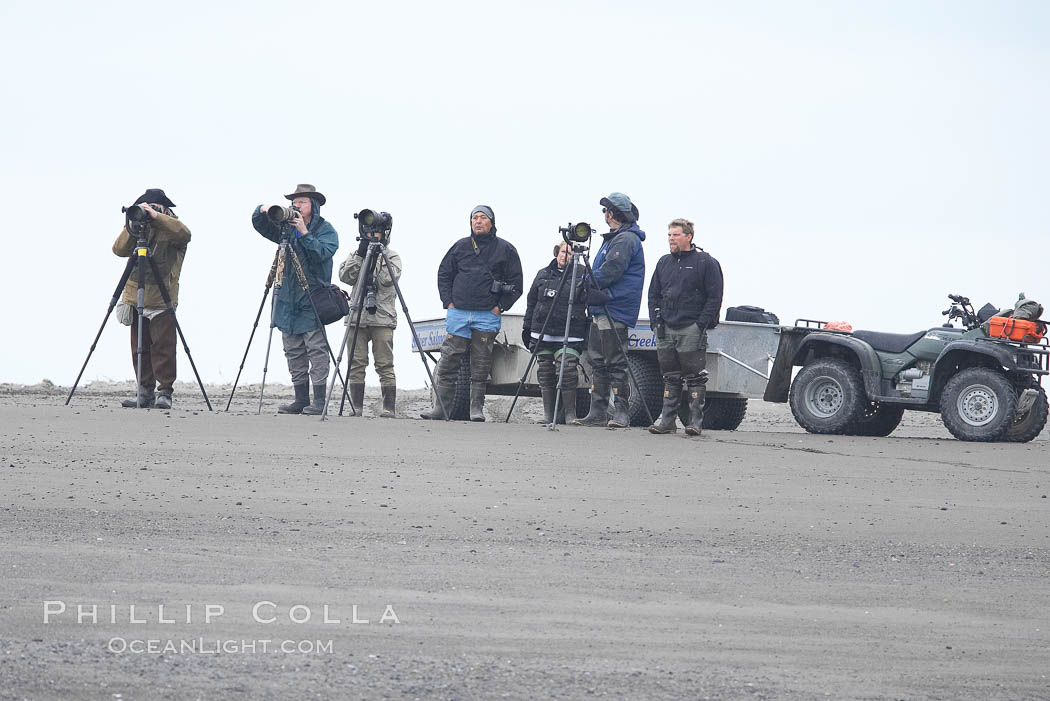 Photographers wait on the beach for brown bears clamming at low tide. Lake Clark National Park, Alaska, USA, natural history stock photograph, photo id 19078