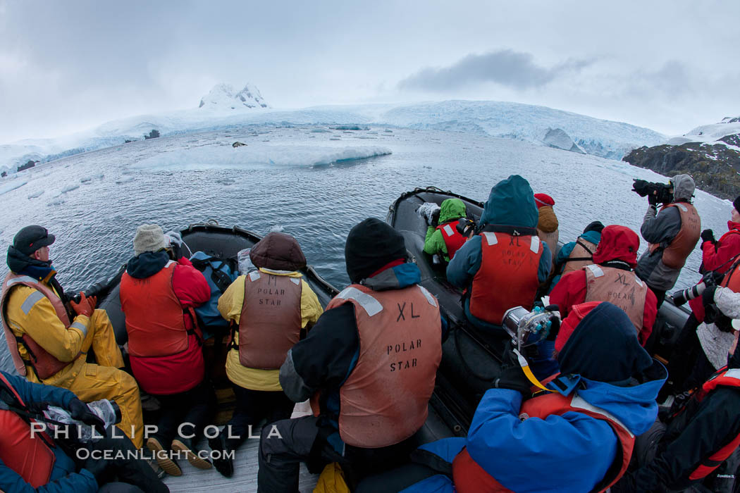 Photographers enjoy a crabeater seal, from two inflatable zodiacs in Cierva Cove. Antarctic Peninsula, Antarctica, natural history stock photograph, photo id 25593