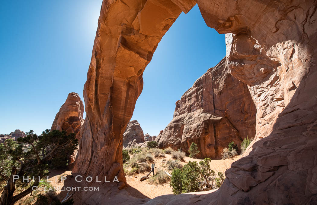 Pine Tree Arch, Arches National Park. Utah, USA, natural history stock photograph, photo id 37865