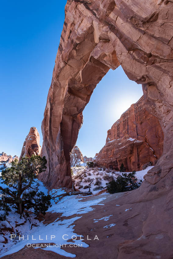Pine Tree Arch on the Devil's Garden Trail in Arches National Park. Utah, USA, natural history stock photograph, photo id 18186