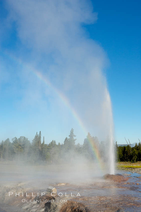 A rainbow appears in the spray of Pink Cone Geyser.  Pink Cone Geyser reaches 30 feet in height, and has highly variable interval and duration.  It is a cone-type geyser and its cone has a pinkish tint due to manganese oxide in it.  Firehole Lake Drive, Lower Geyser Basin, Yellowstone Park. Yellowstone National Park, Wyoming, USA, natural history stock photograph, photo id 13553