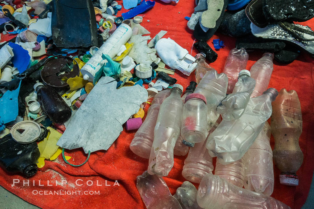 Plastic Debris, Sorted and Cataloged for Study, Clipperton Island. France, natural history stock photograph, photo id 33104