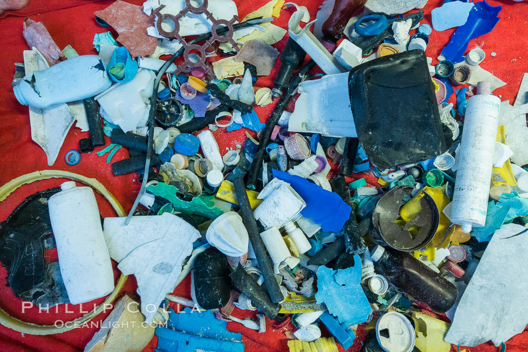 Plastic Debris, Sorted and Cataloged for Study, Clipperton Island. France, natural history stock photograph, photo id 33105