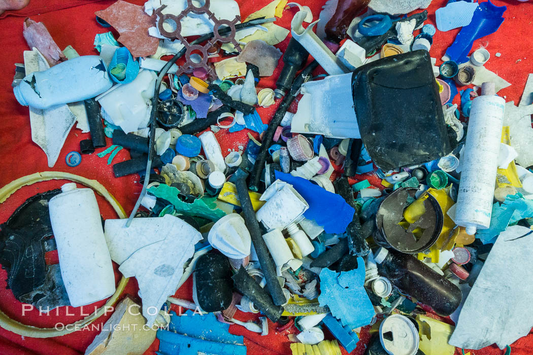 Plastic Debris, Sorted and Cataloged for Study, Clipperton Island. France, natural history stock photograph, photo id 33105