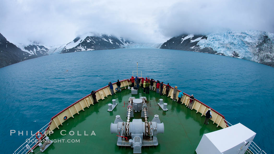 M/V Polar Star approaches Jenkins Glacier (left), Risting Glacier (center) and a third glacier (right) at the end of Drygalski Fjord. South Georgia Island, natural history stock photograph, photo id 24699