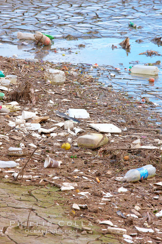 Pollution accumulates in the Tijuana River Valley following winter storms which flush the trash from Tijuana in Mexico across the border into the United States. Imperial Beach, San Diego, California, USA, natural history stock photograph, photo id 22546