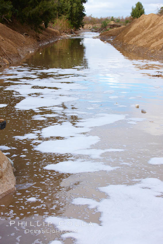 Pollution accumulates in the Tijuana River Valley following winter storms which flush the trash from Tijuana in Mexico across the border into the United States. Imperial Beach, San Diego, California, USA, natural history stock photograph, photo id 22554