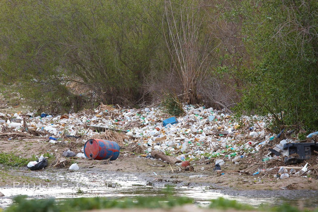 Pollution accumulates in the Tijuana River Valley following winter storms which flush the trash from Tijuana in Mexico across the border into the United States. Imperial Beach, San Diego, California, USA, natural history stock photograph, photo id 22548