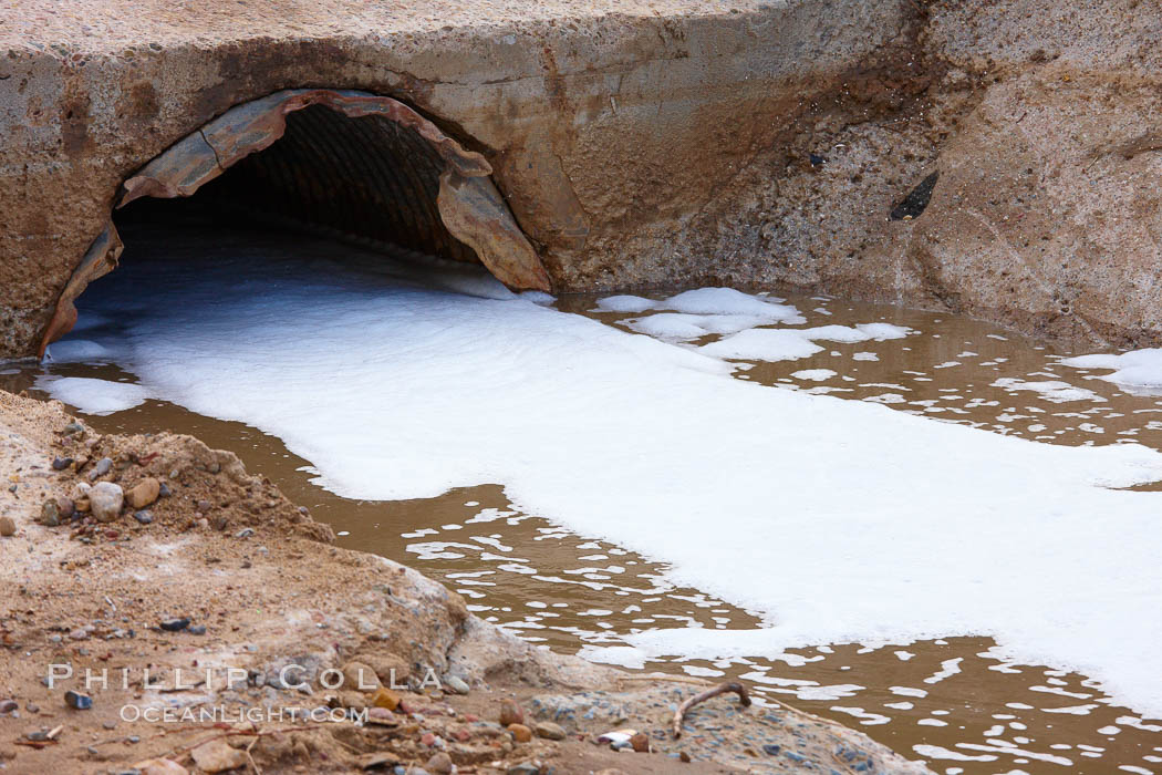 Pollution accumulates in the Tijuana River Valley following winter storms which flush the trash from Tijuana in Mexico across the border into the United States. Imperial Beach, San Diego, California, USA, natural history stock photograph, photo id 22556