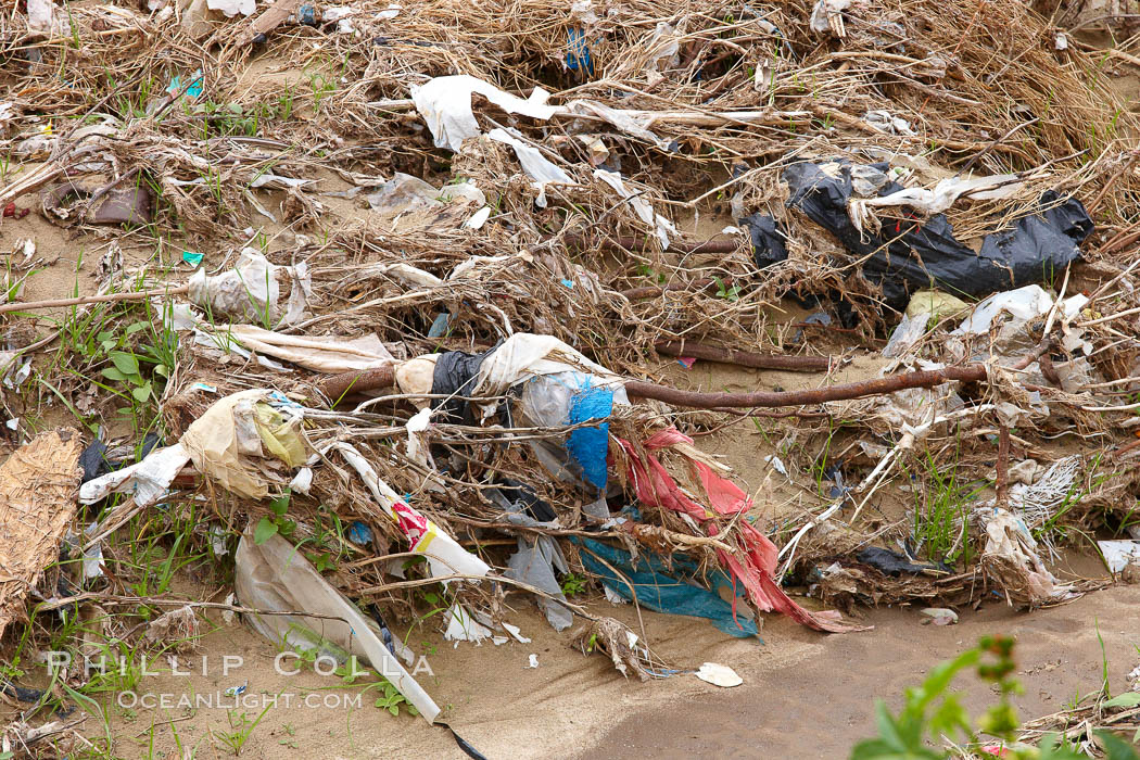 Pollution accumulates in the Tijuana River Valley following winter storms which flush the trash from Tijuana in Mexico across the border into the United States. Imperial Beach, San Diego, California, USA, natural history stock photograph, photo id 22560