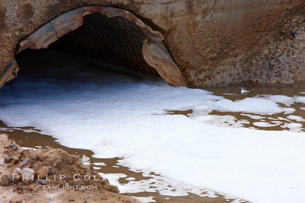 Pollution accumulates in the Tijuana River Valley following winter storms which flush the trash from Tijuana in Mexico across the border into the United States. Imperial Beach, San Diego, California, USA, natural history stock photograph, photo id 22555