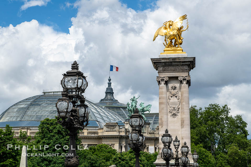 Pont Alexandre III, Paris., natural history stock photograph, photo id 35666