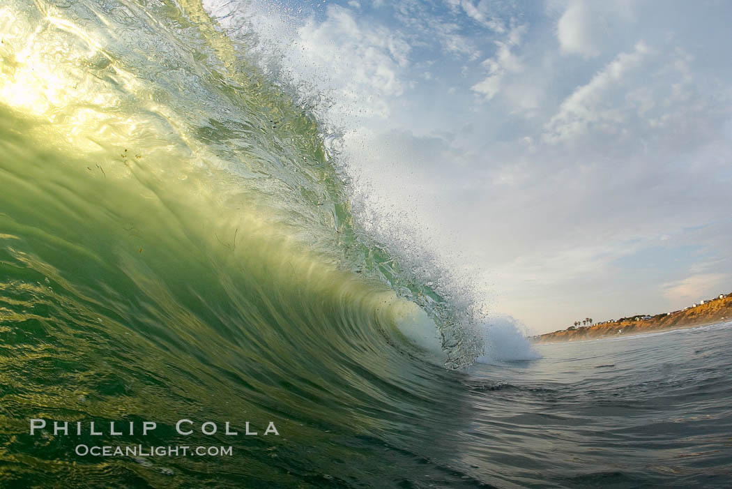 A green wave breaking, with sunset light filtering through. Ponto, Carlsbad, California, USA, natural history stock photograph, photo id 19395