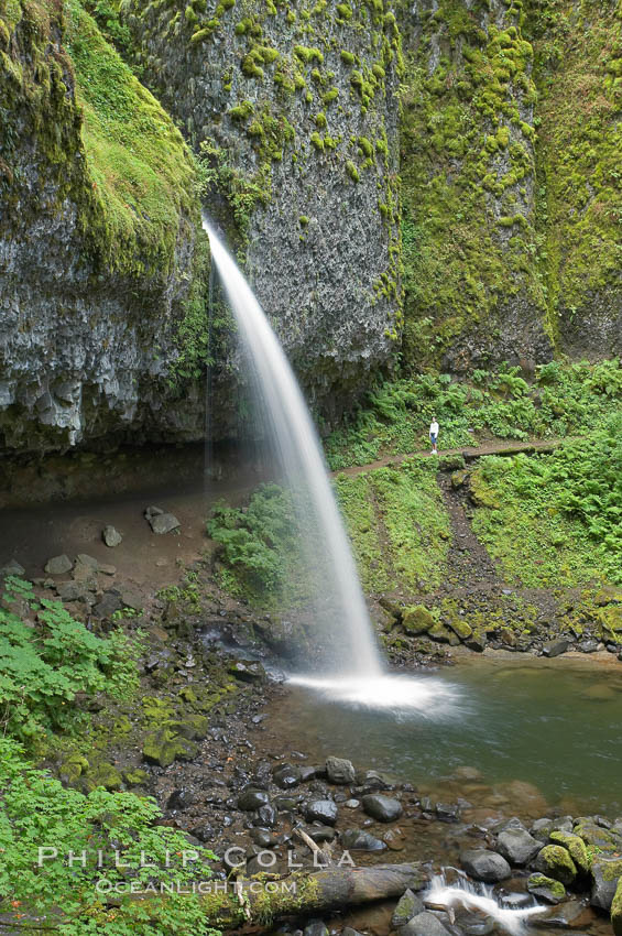 Ponytail Falls, where Horsetail Creeks drops 100 feet over an overhang below which hikers can walk. Columbia River Gorge National Scenic Area, Oregon, USA, natural history stock photograph, photo id 19344