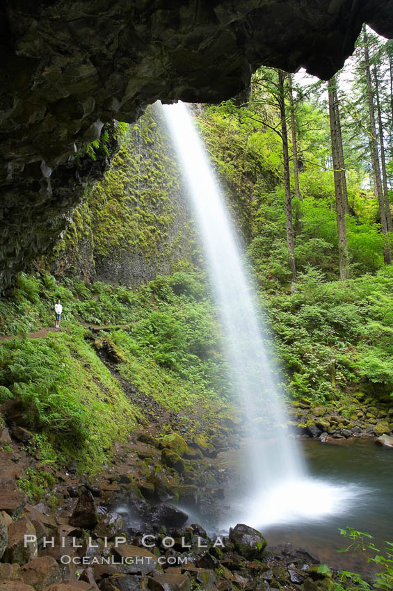 Ponytail Falls, where Horsetail Creeks drops 100 feet over an overhang below which hikers can walk. Columbia River Gorge National Scenic Area, Oregon, USA, natural history stock photograph, photo id 19341