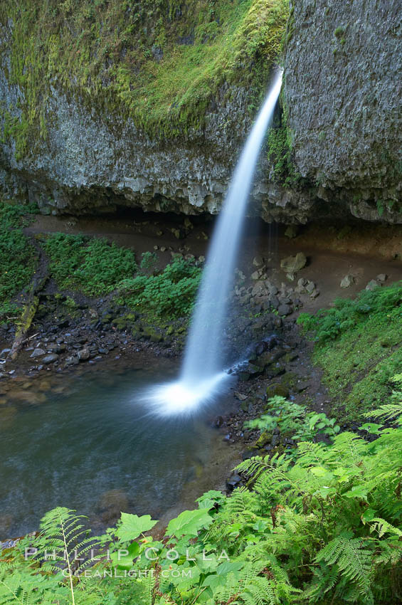Ponytail Falls, where Horsetail Creeks drops 100 feet over an overhang below which hikers can walk. Columbia River Gorge National Scenic Area, Oregon, USA, natural history stock photograph, photo id 19345