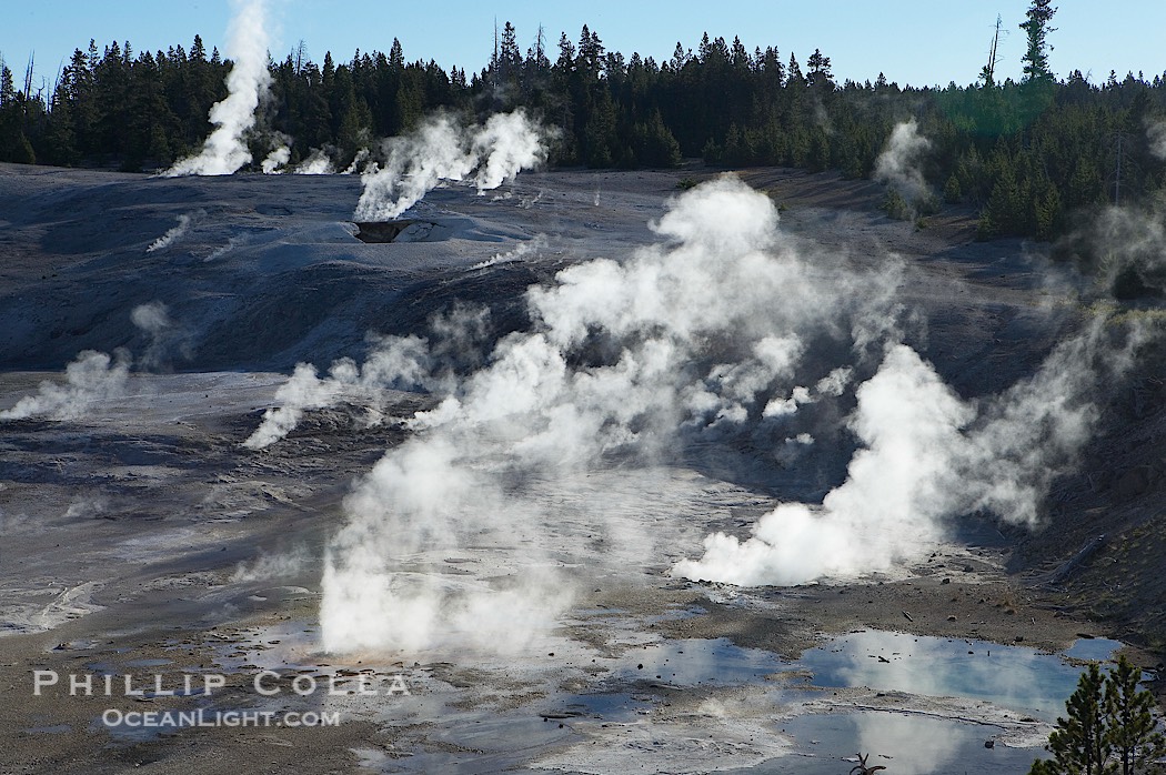 Steam rises in the Porcelain Basin., natural history stock photograph, photo id 13488