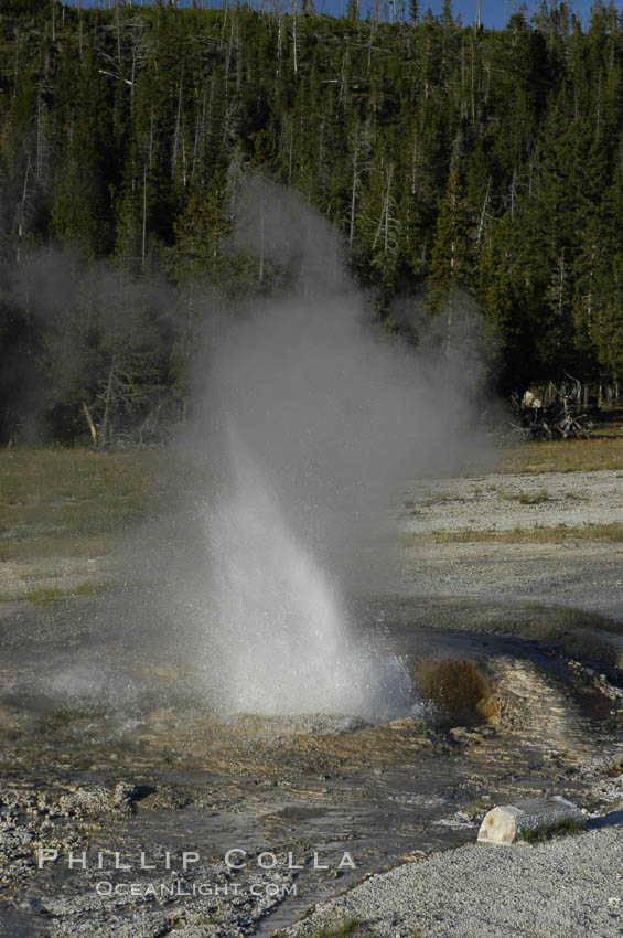 Pump Geyser. Upper Geyser Basin, Yellowstone National Park, Wyoming, USA, natural history stock photograph, photo id 07232