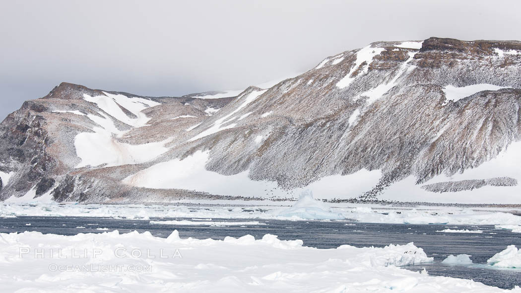 Enormous colony of Adelie penguins covers the hillsides of Paulet Island. Antarctic Peninsula, Antarctica, Pygoscelis adeliae, natural history stock photograph, photo id 24906