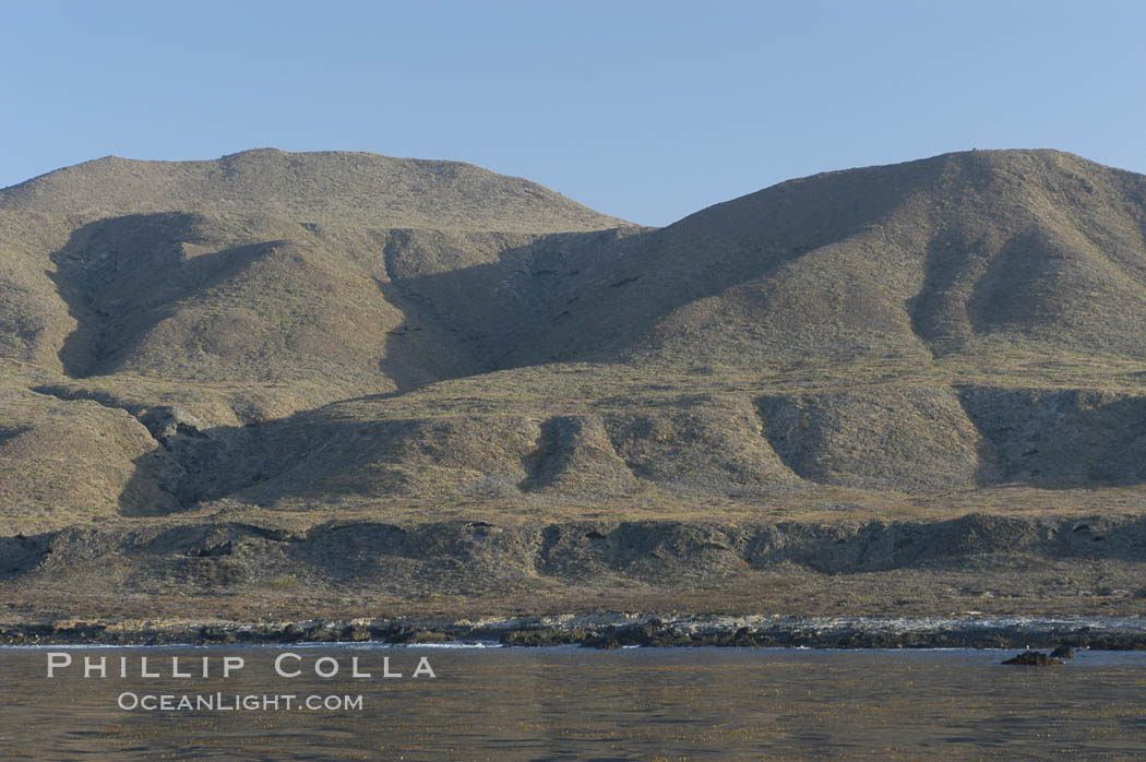 San Clemente Island is used as a US Navy bombing target.  Its offshore kelp forests offer spectacular diving. California, USA, natural history stock photograph, photo id 07497