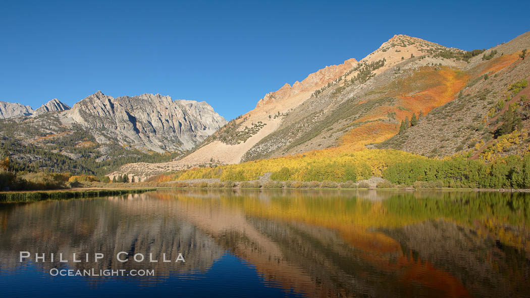Aspen trees in fall, change in color to yellow, orange and red, reflected in the calm waters of North Lake, Paiute Peak rising to the right. Bishop Creek Canyon, Sierra Nevada Mountains, California, USA, Populus tremuloides, natural history stock photograph, photo id 23333