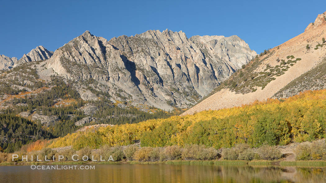 Aspen trees in fall, change in color to yellow, orange and red, reflected in the calm waters of North Lake. Bishop Creek Canyon, Sierra Nevada Mountains, California, USA, Populus tremuloides, natural history stock photograph, photo id 23341