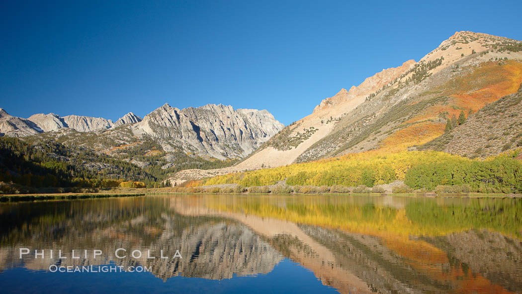 Aspen trees in fall, change in color to yellow, orange and red, reflected in the calm waters of North Lake, Paiute Peak rising to the right. Bishop Creek Canyon, Sierra Nevada Mountains, California, USA, Populus tremuloides, natural history stock photograph, photo id 23366