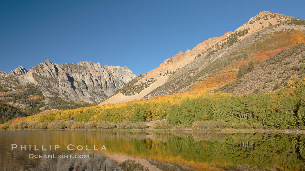 Aspen trees in fall, change in color to yellow, orange and red, reflected in the calm waters of North Lake, Paiute Peak rising to the right. Bishop Creek Canyon, Sierra Nevada Mountains, California, USA, Populus tremuloides, natural history stock photograph, photo id 23373