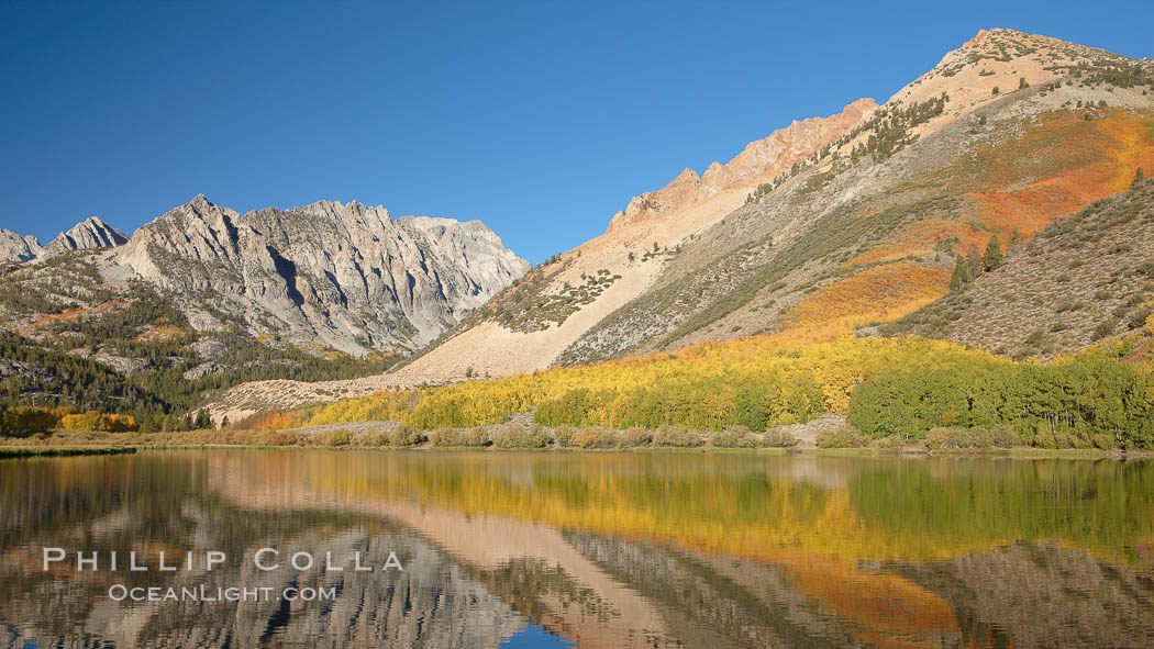 Aspen trees in fall, change in color to yellow, orange and red, reflected in the calm waters of North Lake, Paiute Peak rising to the right. Bishop Creek Canyon, Sierra Nevada Mountains, California, USA, Populus tremuloides, natural history stock photograph, photo id 23381