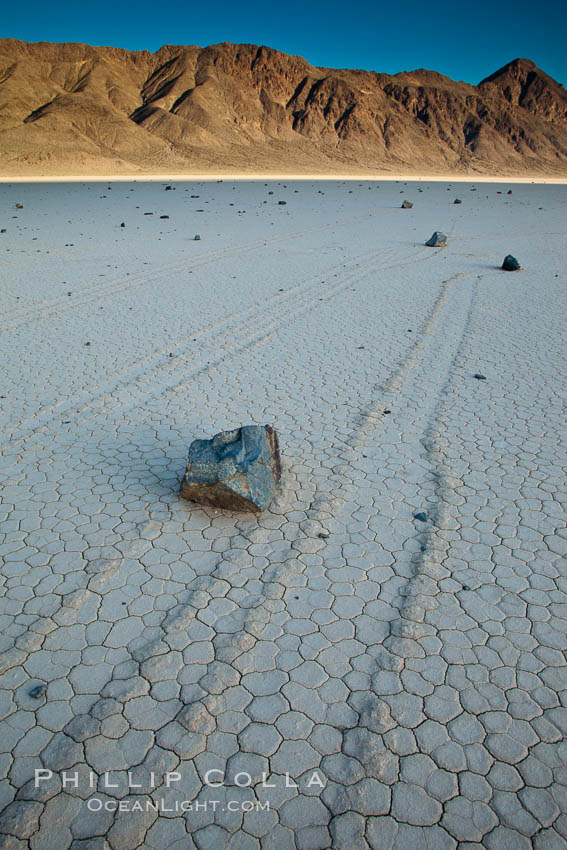 Sailing stone on the Death Valley Racetrack playa.  The sliding rocks, or sailing stones, move across the mud flats of the Racetrack Playa, leaving trails behind in the mud.  The explanation for their movement is not known with certainty, but many believe wind pushes the rocks over wet and perhaps icy mud in winter. Death Valley National Park, California, USA, natural history stock photograph, photo id 25324