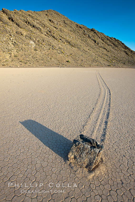Sailing stone on the Death Valley Racetrack playa.  The sliding rocks, or sailing stones, move across the mud flats of the Racetrack Playa, leaving trails behind in the mud.  The explanation for their movement is not known with certainty, but many believe wind pushes the rocks over wet and perhaps icy mud in winter. Death Valley National Park, California, USA, natural history stock photograph, photo id 25328