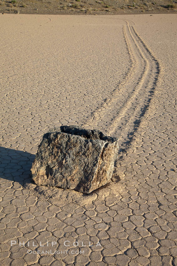 Sailing stone on the Death Valley Racetrack playa.  The sliding rocks, or sailing stones, move across the mud flats of the Racetrack Playa, leaving trails behind in the mud.  The explanation for their movement is not known with certainty, but many believe wind pushes the rocks over wet and perhaps icy mud in winter. Death Valley National Park, California, USA, natural history stock photograph, photo id 25329
