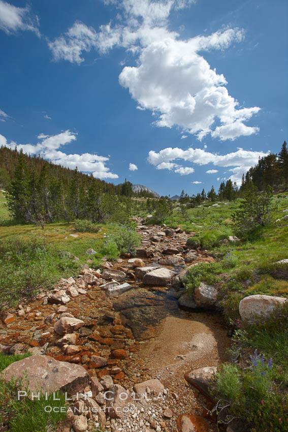 Rafferty Creek along the John Muir Trail, on approach to Vogelsang High Sierra Camp in Yosemite's high country. Yosemite National Park, California, USA, natural history stock photograph, photo id 23242