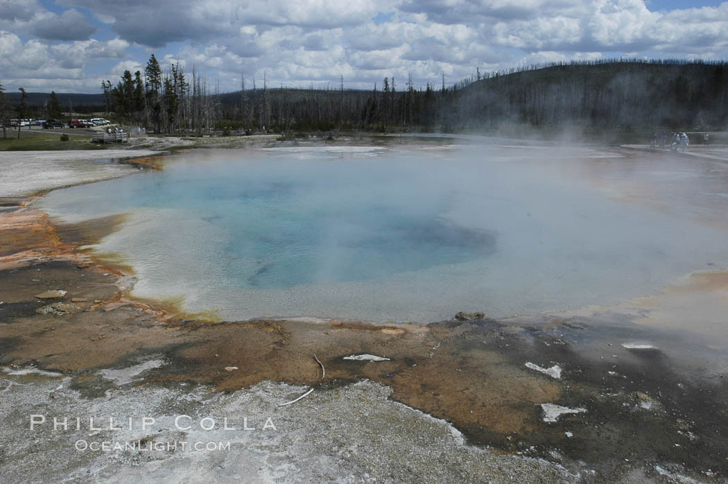 Rainbow Pool, a broad (50 foot diam) heated pool in Black Sand Basin, will rarely erupt. Usually it is calm and mildly overflowing, allowing colorful thermophilic cyanobacteria and algae to grow around its edges. Yellowstone National Park, Wyoming, USA, natural history stock photograph, photo id 07303