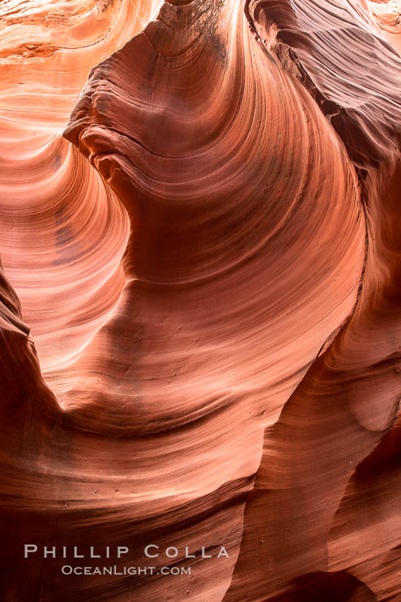 Rattlesnake Canyon, a beautiful slot canyon that is part of the larger Antelope Canyon system. Page, Arizona. Navajo Tribal Lands, USA, natural history stock photograph, photo id 36035