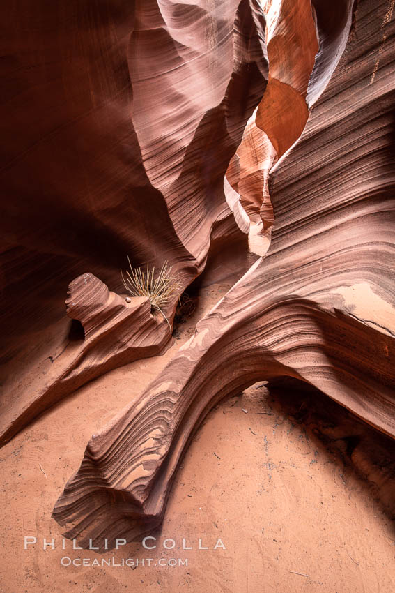 Rattlesnake Canyon, a beautiful slot canyon that is part of the larger Antelope Canyon system. Page, Arizona. Navajo Tribal Lands, USA, natural history stock photograph, photo id 36039