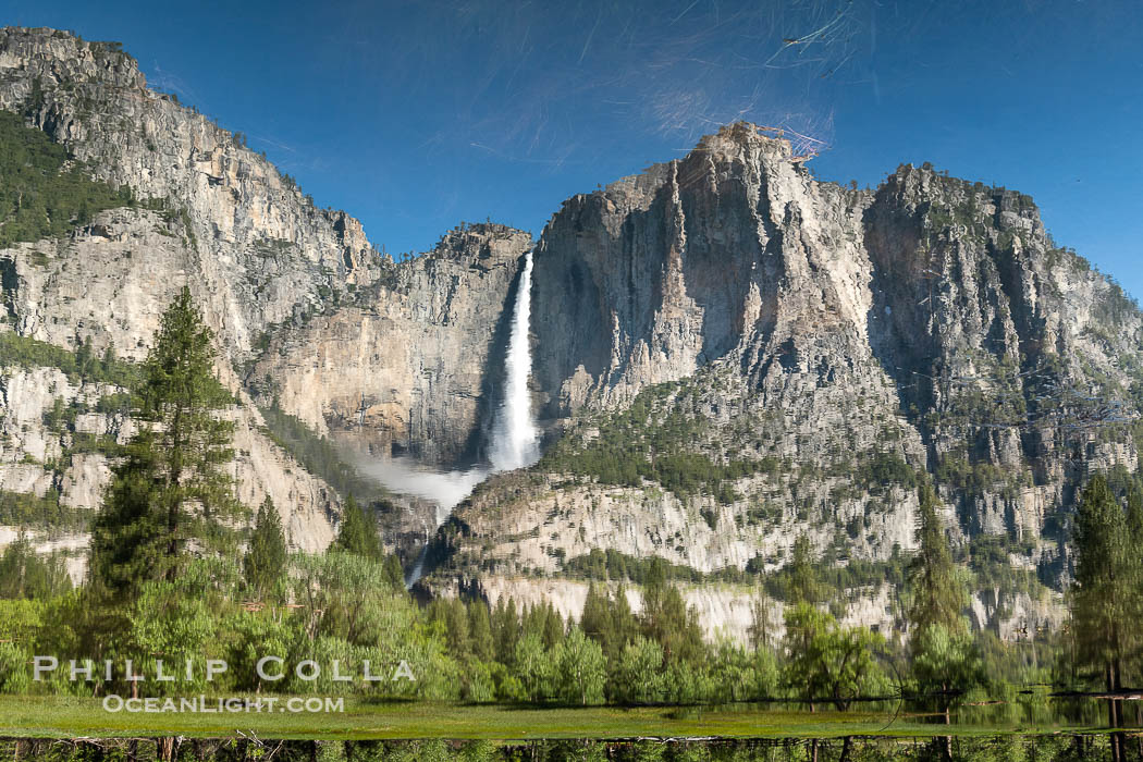Reflection of Yosemite Falls in Flooded Cooks Meadow. The Merced River overflows its banks following the historical storms of 2023, flooding Yosemite Valley and producing pools that reflect a roaring Upper Yosemite Falls.  This is a reflection, flipped upside down. Yosemite National Park, California, USA, natural history stock photograph, photo id 39381