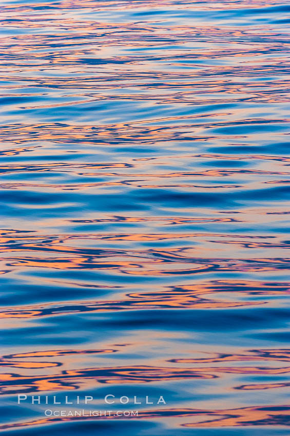 Sunset light is reflected on the placids waters. Bahamas, natural history stock photograph, photo id 10862
