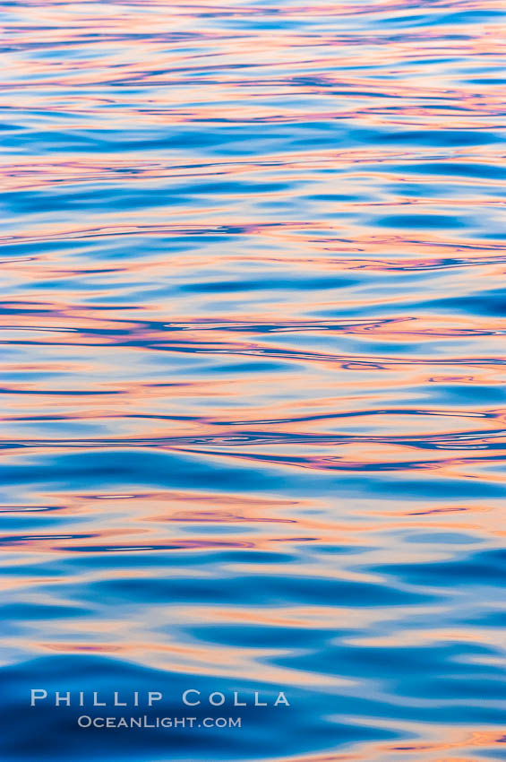 Sunset light is reflected on the placid waters of the Bahamas., natural history stock photograph, photo id 10860