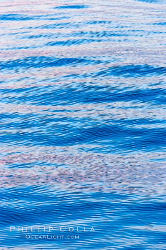 Sunset light is reflected on the placids waters., natural history stock photograph, photo id 10865