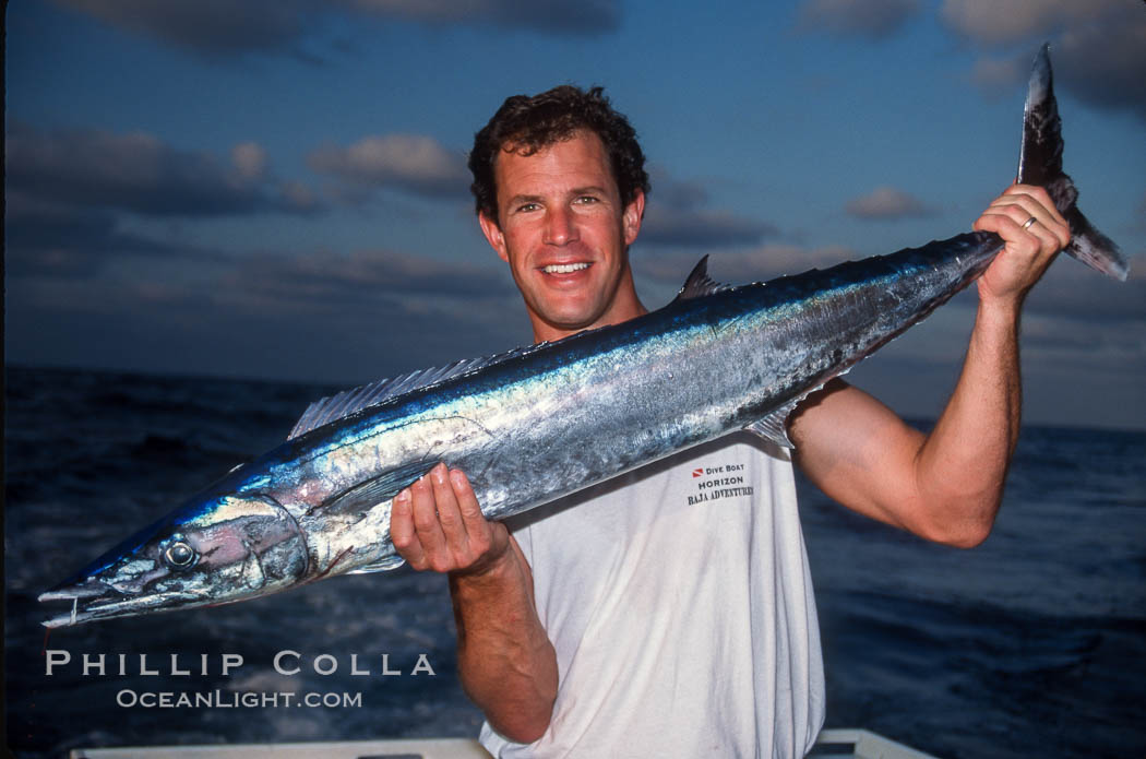 Revillagigedos, Baja California, Mexico. Socorro Island (Islas Revillagigedos), natural history stock photograph, photo id 36208