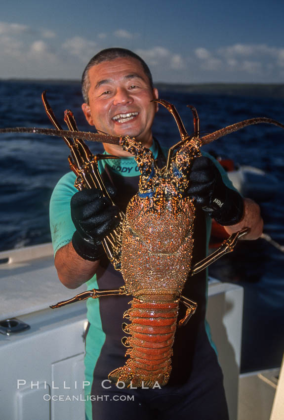 Revillagigedos, Baja California, Mexico. Socorro Island (Islas Revillagigedos), natural history stock photograph, photo id 36213