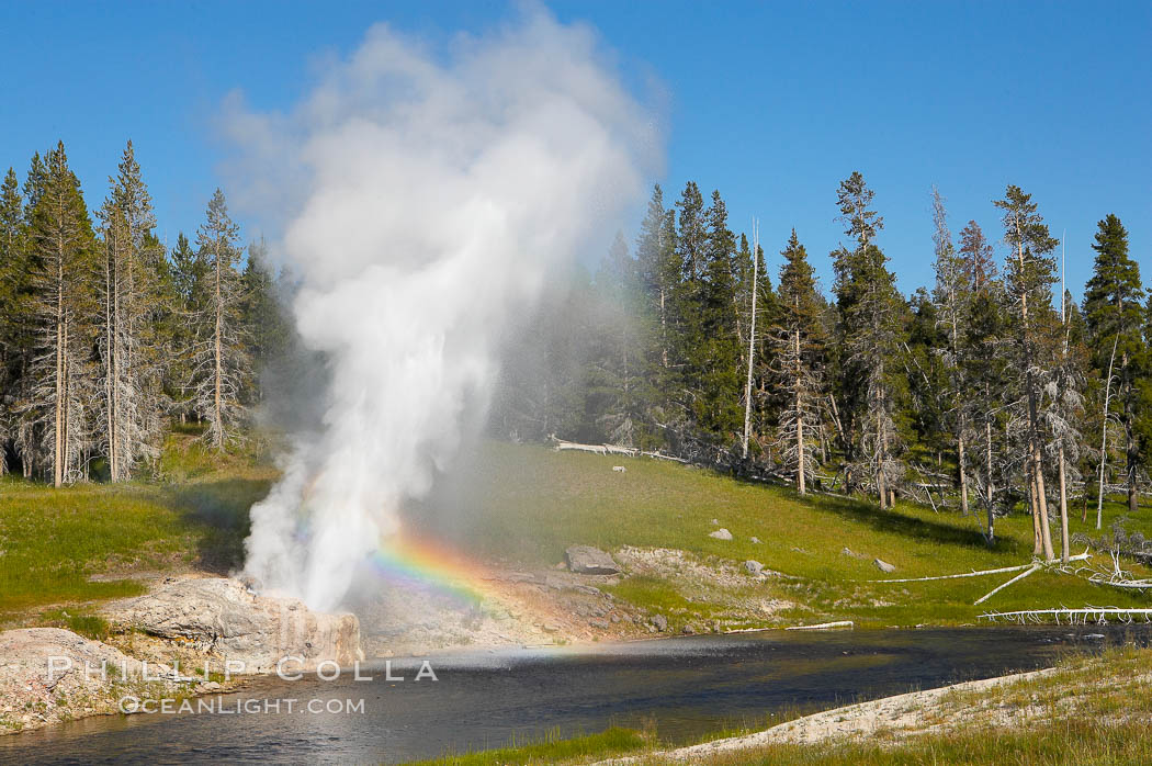 A rainbow appears in the spray of Riverside Geyser as it erupts over the Firehole River.  Riverside is a very predictable geyser.  Its eruptions last 30 minutes, reach heights of 75 feet and are usually spaced about 6 hours apart.  Upper Geyser Basin. Yellowstone National Park, Wyoming, USA, natural history stock photograph, photo id 13368