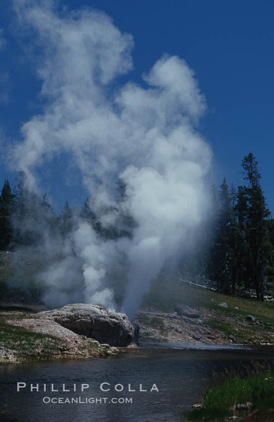 Riverside Geyser at peak eruption, arcing over the Firehole River. Upper Geyser Basin, Yellowstone National Park, Wyoming, USA, natural history stock photograph, photo id 07199