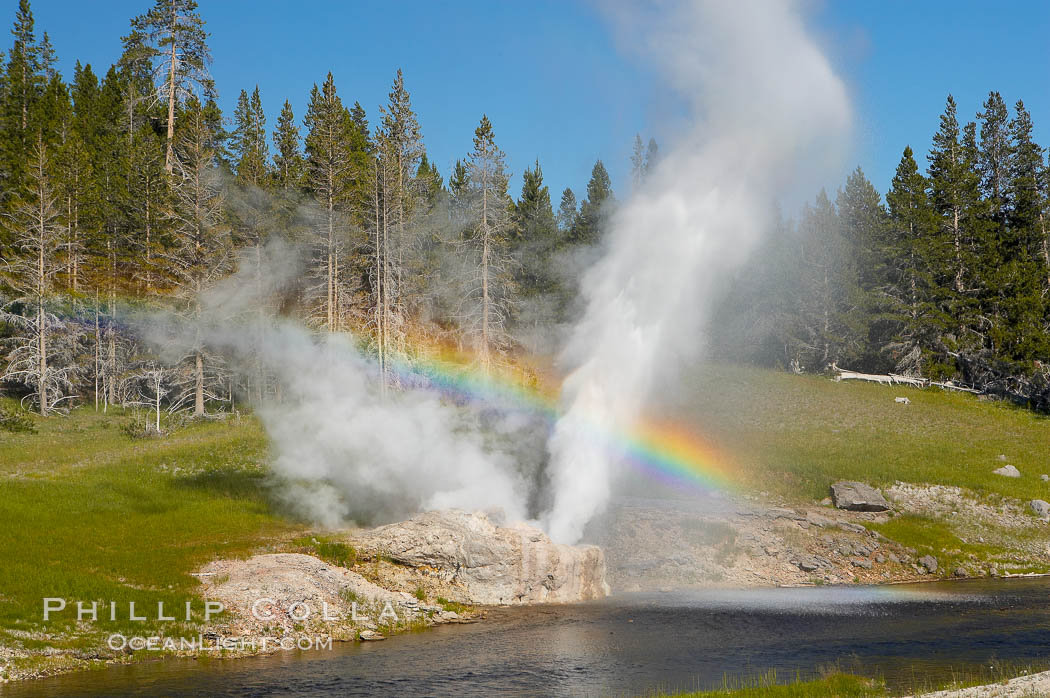 A rainbow appears in the spray of Riverside Geyser as it erupts over the Firehole River.  Riverside is a very predictable geyser.  Its eruptions last 30 minutes, reach heights of 75 feet and are usually spaced about 6 hours apart.  Upper Geyser Basin. Yellowstone National Park, Wyoming, USA, natural history stock photograph, photo id 13369