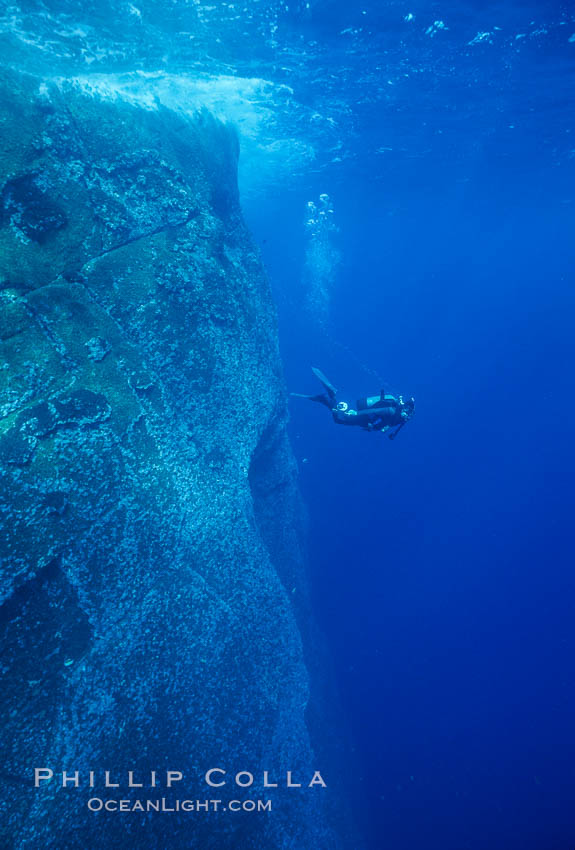 Roca Partida, Revillagigedos, Baja California, Mexico., natural history stock photograph, photo id 36216