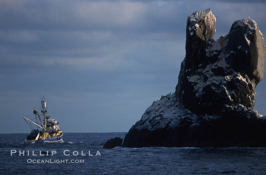 Illegal fishing at Roca Partida, Revillagigedos., natural history stock photograph, photo id 05626